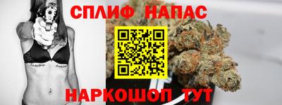 СК Будённовск