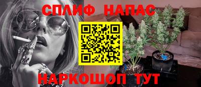 СК Будённовск