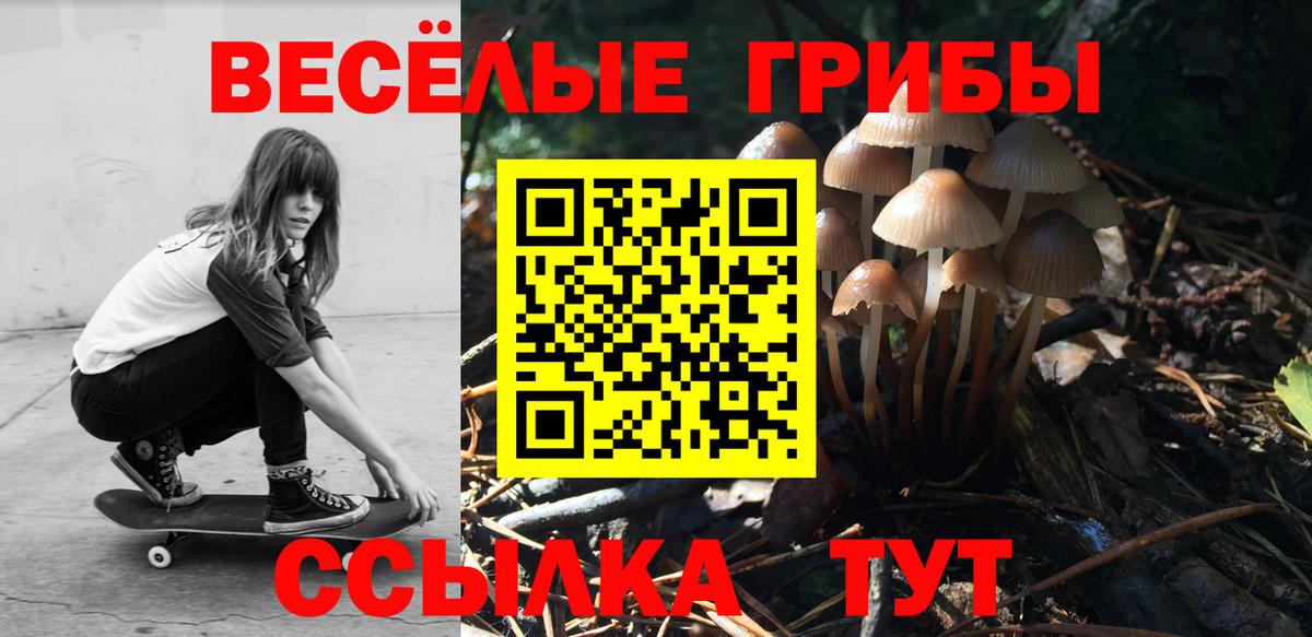 Галлюциногенные грибы мухоморы Коммунар